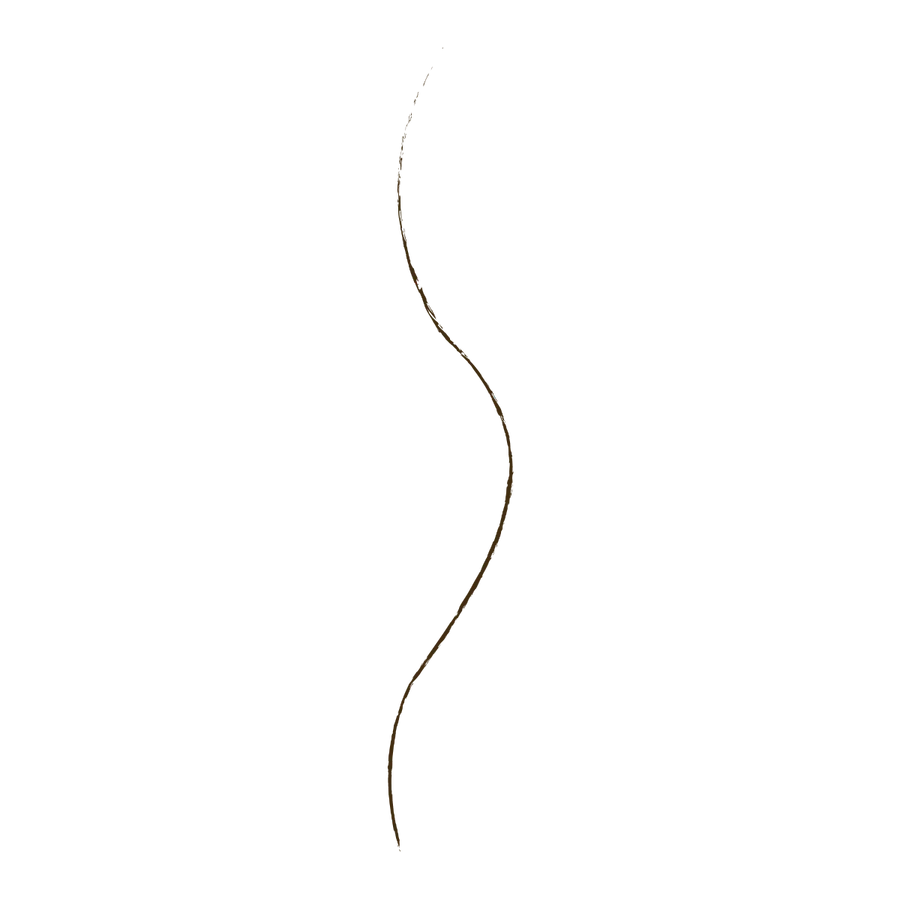 Wet n Wild Ultimate Brow Micro Brow Pencil - Precision Micro Tip Eyebrow Pencil