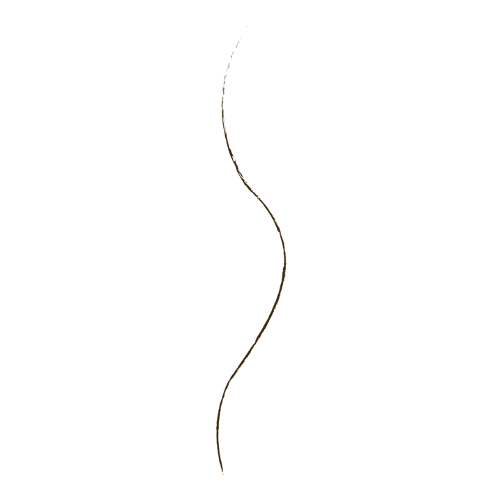 Wet n Wild Ultimate Brow Micro Brow Pencil - Precision Micro Tip Eyebrow Pencil