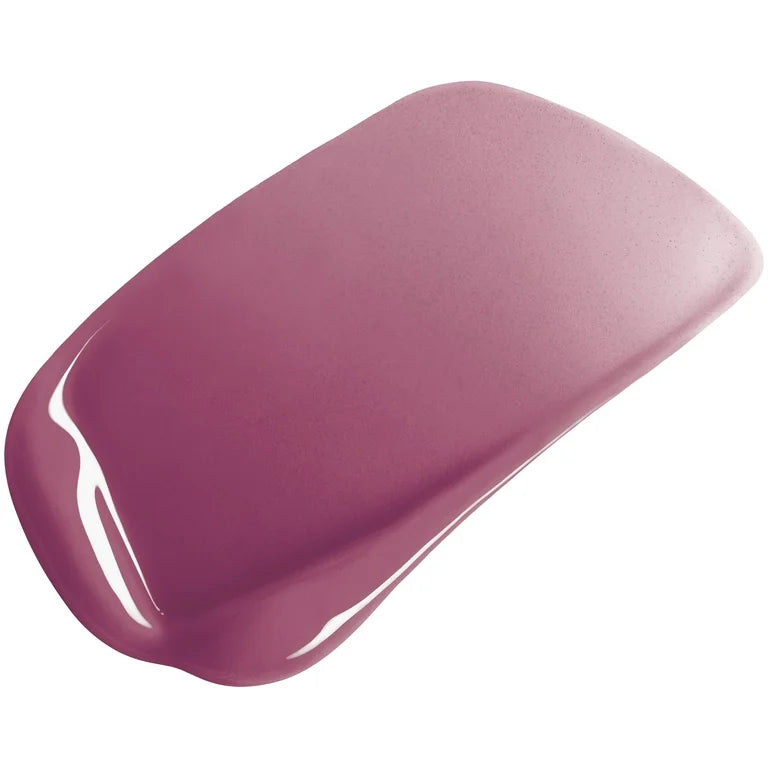 Loreal Paris Infallible Pro-Last Lip Color