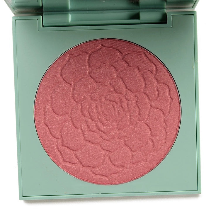 Colourpop pressed powder blush Whole Nine Yards